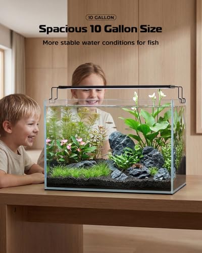 Glass Fish Tank Kit, 10 Gallon Betta Fish Tank Aquarium Starter Kit with Filter, Lights, Lid, for Betta, Goldfish, Small Fish or shrimg，Clear - color: Transparent, size: 10 Gallon