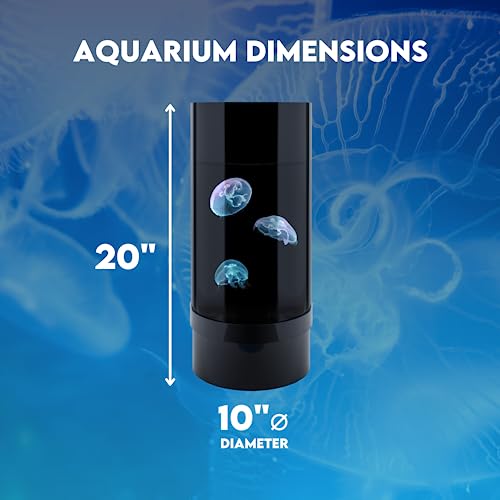 Jellyfish Art Jelly Cylinder 5 (Aquarium only kit) - Beginner Aquarium for Live Jellyfish (Black)