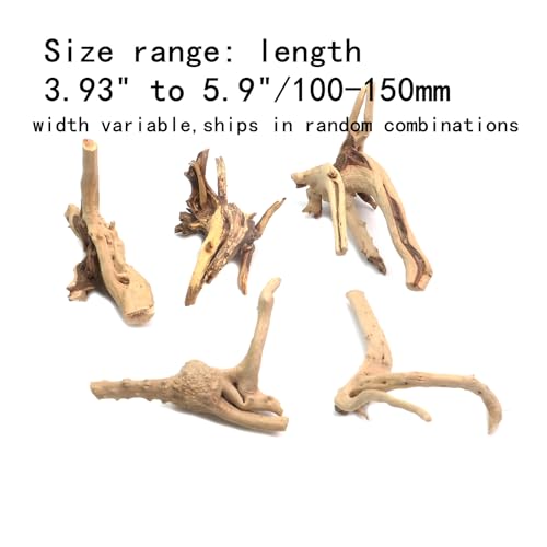 5Pcs Natural Cuckoo Wood for Aquarium, Aquarium Decor Wood Freshwater Fish Tank Reptile Driftwood Branch Length 3.93" to 5.9" - color: Natural Cuckoo Wood