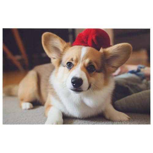 Outdoor Door Mat 15.7" X 23.6" Non-Slip Doormat Cute Corgi Front Door Mats Quick Dry Welcome Mats for Outdoor Indoor Entrance Mat Home Decor Floor Mats for Patio - color: Cute Corgi