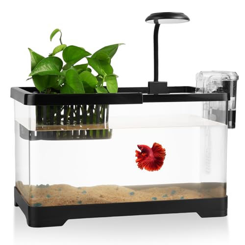 1.8 Gallon Beta Fish Tank Aquariums Kits - Clear Small Fish Bowl Starter Kit with LED Light, Water Filter Pump, Hydroponic Basket - Beginner's Gift for Guppy Shrimp Goldfish, Rectangular - size: Long fish tank