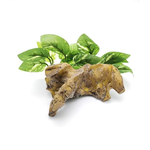 Aquarium Decor, Resin Wood Ornament with Silk Leaves for Betta Fish Tank, Driftwood for Aquarium Landscape Accessories, Reptiles Tank
