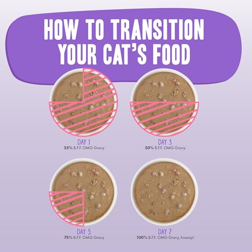 Weruva B.F.F. OMG - Best Feline Friend Oh My Gravy!, Ciao Baby! with Chicken & Shrimp in Gravy Cat Food, 2.8oz Pouch (Pack of 12) - size: 2.8 Ounce (Pack of 12)