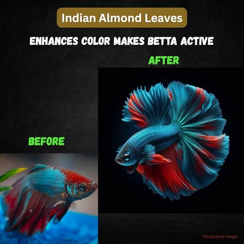 80 Pcs Dried Catappa Indian Almond Ketapang Leaves, Betta Fin Rot Treatment, 4” Betta Fish Tank Accessories, Leaf Litter for Goldfish, Guppy,Frogs,Tetras - Supports Breeding