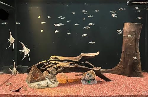 M2cbridge Aquarium Decor Castle Shipwreck Ornament Underwater Landscape(Egyptian Pyramid + Pharaoh) - color: Egyptian Pyramid + Pharaoh