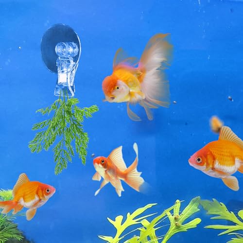 12Pcs Veggie Clips Aquarium Seaweed Clips Fish Food Holder Wide Mouth Clips Plants Suction Cups Algae Clips for Freshwater and Marine Fish Tank (Plastic) - size: Plastic