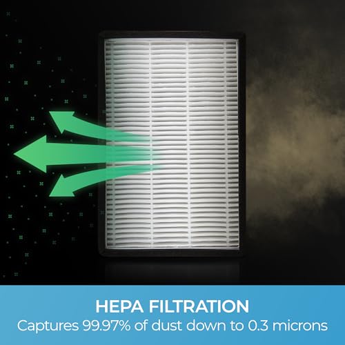 Kenmore 53295 EF-1 HEPA Media Vacuum Cleaner Exhaust Air Filter for Upright and Canister Vacuums,White - style: 53295