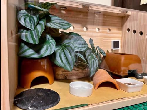 Reptile Plants for Terrarium Decor,Amphibian Habitat Decor,Artificial Plants for Gecko Chameleon Snake Tortoise Tank Accessories with Base (Green Watermelon peperomia) - color: Green Watermelon Peperomia