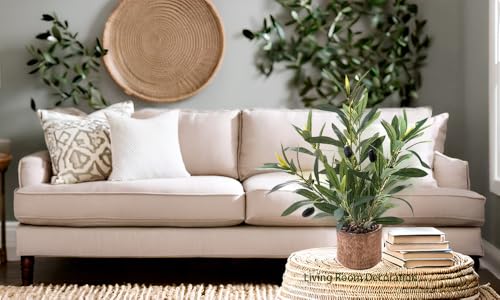 Indoor Fake Olive Plant 12 inch Faux Silk Leaves with Black Rustic Planter Medium Size Perfect Artificial Olive Fruits with Realistic Trunk and Lifelike Stems for Home and Office Decor - color: Plant a