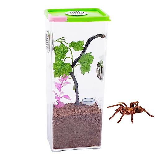 Tarantula Large Breeding Box Reptile Transparent Feeding Box Frog Cricket Snail Hatching Container Insect Habitat Cage(10.1" x 4.1" x 3.1")