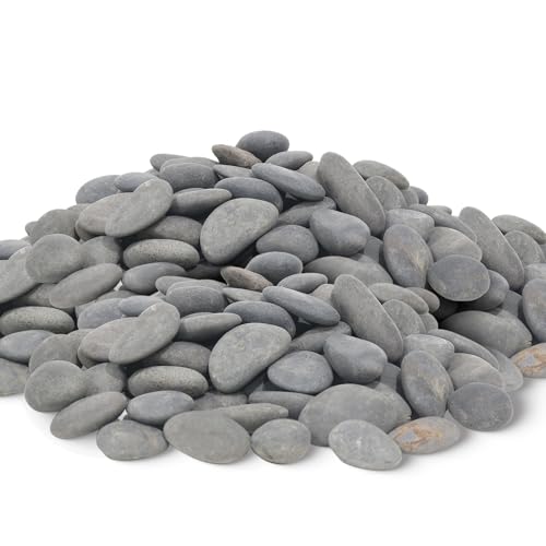Quibbay 45 LB Mexican Beach Pebbles - 1-2 Inch Decorative River Rocks for Landscaping, Garden Paving, Plant Rocks, Crafting, Walkways, Backyard, Grey Natural Unpolished Bulk Stones - size: 45 Pounds, 1-2 Inch