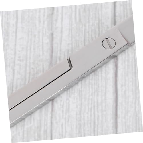 BESPORTBLE Mirror Cutting Scissors for Aquarium Plants Snail Scissors Plant Cutters Aquatic Tools