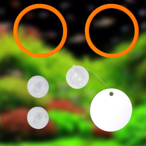 Beta Fish Aquariums Accessories, 1 Fish Mirror with Floating Ball & 2 Exercise Training Ring Toys, Fish Feeding Ring, Betta Fish Toys Set for Tank, Enrichment Toys for Fish - color: orange ring