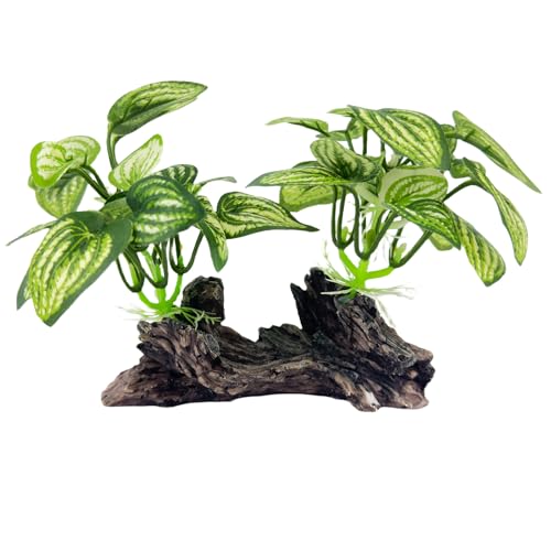 Aquarium Driftwood, Natural Fish Tank Decor for Betta, Reptile Hideout & Terrarium Ornament, Type-D - size: Type-D