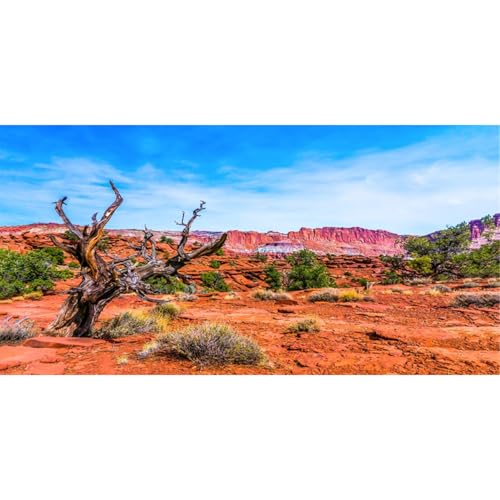 AWERT 36x24 inches Reptile Habitat Background Blue Sky Oasis Orange Desert Terrarium Background - size: 36x24in/90x60cm