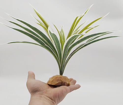 Reptile Terrarium Decor, Bearded Dragon Tank Accessories，Spider Plants for Crested Gecko Leopard Lizard Chameleon Ball Python Snake Frog - color: Fake Spider Plants