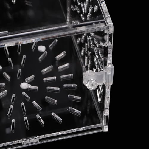 Acrylic Fish Tank Isolation Box | Adjustable Aquarium Hatchery/Breeding Box | Transparent Fish Holder with Suction Cups | 3 Sizes for Fry/Sick Fish (30CM*10CM*10CM) - size: 30CM*10CM*10CM