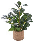 12.6" Fake Plants in Brown Ceramic Vase Realistic Ficus Leaf Faux Plant for Desk Book Shelf Bathroom Office Kitchen Counter Bedroom Small Space Ready to Display Artificial Indoor Plant Decor