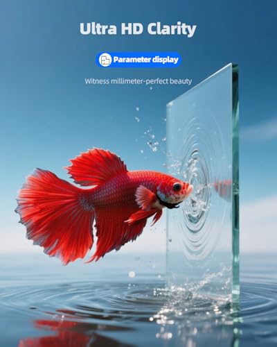 2.5 Gallon Clear Glass Fish Tank, Small Fish Tank Aquarium for Betta, Goldfish, Snail,Shrimp and Aquatic Planting - color: Black, size: 2.5 Gallon