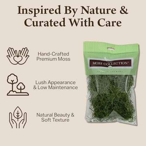 Preserved Spanish Moss - Decorative Moss - Dried for Crafts, Home Decor, Art, Design & DIY Projects - for Indoor Use - Green Apple - Medium Size - color: Green Apple, size: Medium
