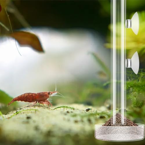 3 Pcs Shrimp Feeding Tube and Dish Set Clear Crystal Glass Shrimp Feeder Tube Tray Aquarium Feeder Tube Shrimp Feeding Dish Bowl Suction Cups for Fish Tank Aquarium Feeding Supplies Tools