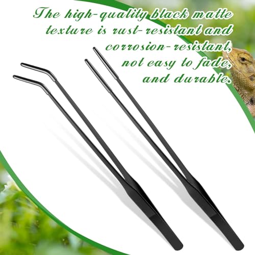 Lasnten 2 Pcs Extra Long Stainless Steel Reptile Feeding Tongs with Rubber Tip 10 Inch, 10.5 Inch Bearded Dragon Aquarium Straight and Curved Long Tweezer Terrarium Feeder Tool for Tank(Black) - color: Black, size: 10 Inch, 10.5 Inch