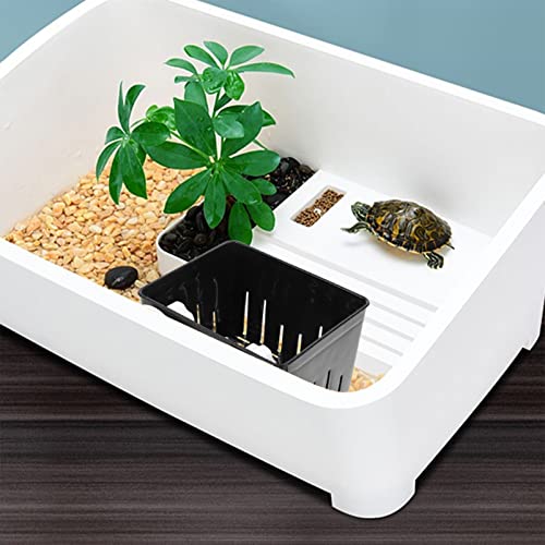 Betta Fish Tank 1 Set of Aquarium Fish Box Hatching Incubator Box Nursery Aquarium Spawning Incubator for Tank Black - color: Black