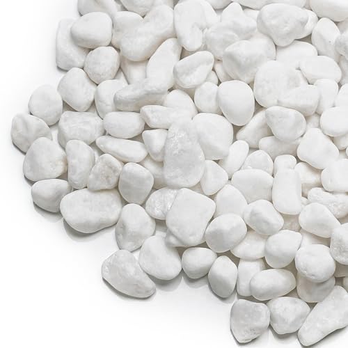 Onlyfire 10lb White Pebbles,1/5" Natural Decorative River Rocks Aquarium Gravel for Indoor Plants, Vases, Succulents and Outdoor Garden Landscaping - color: White, size: 10 Pounds