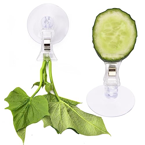 12Pcs Veggie Clips Aquarium Seaweed Clips Fish Food Holder Wide Mouth Clips Plants Suction Cups Algae Clips for Freshwater and Marine Fish Tank (Plastic) - size: Plastic