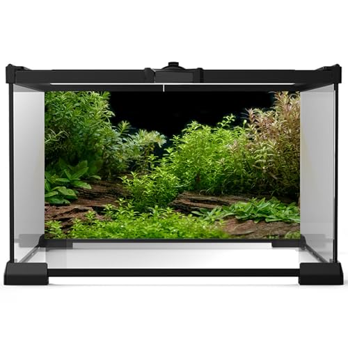 Aquarium Background Underwater Green Grass Leaves Stone Aquarium Backdrop Vivid and Fresh Green Aquatic Plant Stone River Bed and Lake Fish Tank Background Decor Vinyl 24x12in - color: Cork Green, size: 24(W)x12(H)inches/ 60(W)*30cm(H)