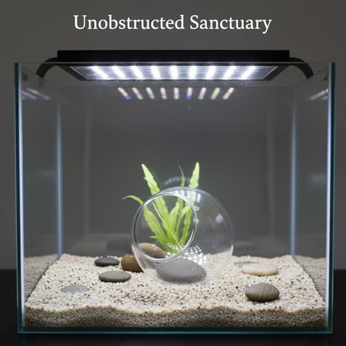 Glass Aquarium Ornament, Transparent Round Glass Ornament for Fish Tank, Compact Decor Piece (1 PC)