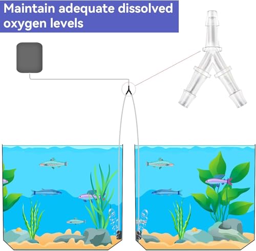 5 Pcs Aquarium Air Pump Connectors Y-Shaped Air Valve 3 Way Airline Tubing Plastic Barb Equal Hose Anti-Shedding Fish Tank Tube Adapters Splitter