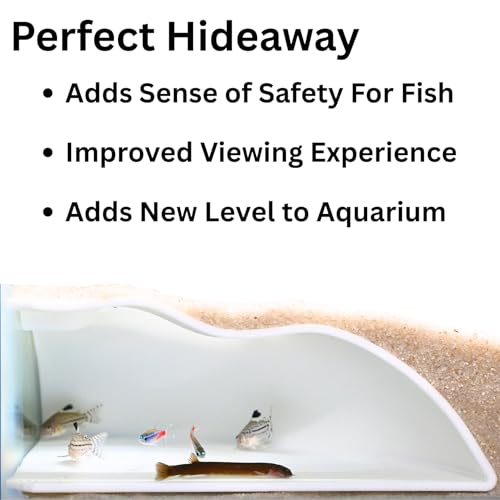 Lucky Critter Aquarium Underground Corner Cave Natural Curve | Viewing Fish & Shrimp Under Gravel Tunnel | Fish Tank Decor Decoration Hideout Perfect for Corydora Catfish, Kuhli Loach, Pleco (White) - color: White