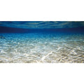 AWERT 72x16 inches Ocean Floor Aquarium Background Underwater Fish Tank Background Undersea Theme Aquarium Background - size: 72x16in/180x40cm
