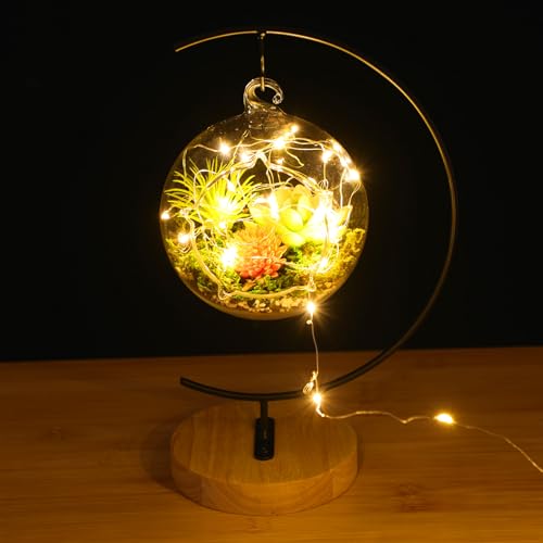 4.7" Hanging Glass Terrarium Globe with Stand for Air Plants Succulents & Desktop Decor, Small Floating Garden for Desks, Shelves, Windowsills, Offices, and Plant Lover