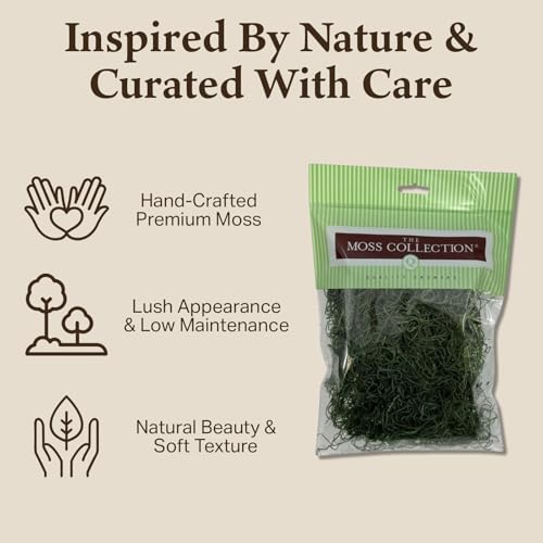 Preserved Spanish Moss - Decorative Dried Moss for Crafts, Home Decor, Art, Design & DIY Projects - for Indoor Use - Forest Green - Small Size - color: Forest Green, size: Small