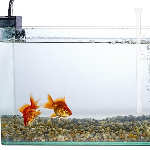 Yardwe Shrimp Feeder Tube and Feeding Dish for Aquarium Fish Tank, Glass 40cm, Aquarium Feeder Tool for Shrimp and Fish Feeding Supplies