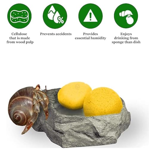 Hermit Crab Sponges for Water, 10 Pack Unbleached Hermit Crab Accessories & Supplies, Pet Crab Sponges Provide Nutrients and Maintain Tank Humidity, Water Dish Yellow Real Sea Sponges, 2" x 1"