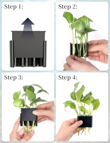 sogiv 3 Holes Aquatic Plant Cups, Hanging Aquarium Plant Holder, for Fish Tank Plants Potting, Aquascape Accessories Decorations, Black, 1 Pcs - color: Black, 1 Pcs
