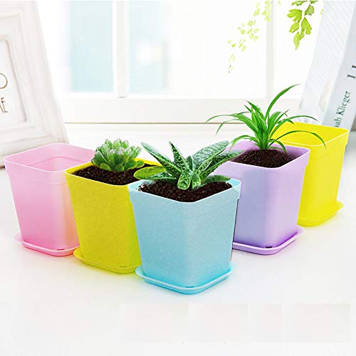 24 Pack 3inch Multi Color Square Plastic Plant Pots,Seedling Nursery Transplanting Planter Container Indoor Outdoor for Your Room,Garden Office and Balcony Decor - color: 6 Colors