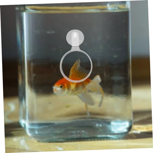 Magnifier for Fish Tank Small Animal Viewing Glass Cup for Observing Landscapes Spiders and Plants Aquariums
