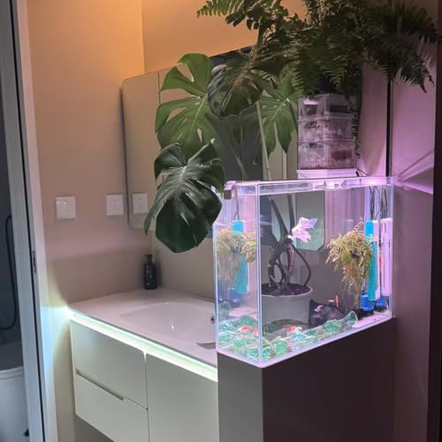 High-Clarity 3.5 Gallon Fish Tank 30 * 15 * 30CM - Low Iron Glass Aquarium with Space-Saving Thin & Narrow Designs | Includes Non-Slip Mat, Corner Guards + Decor | Ideal for Desktop/Bathroom - size: Small