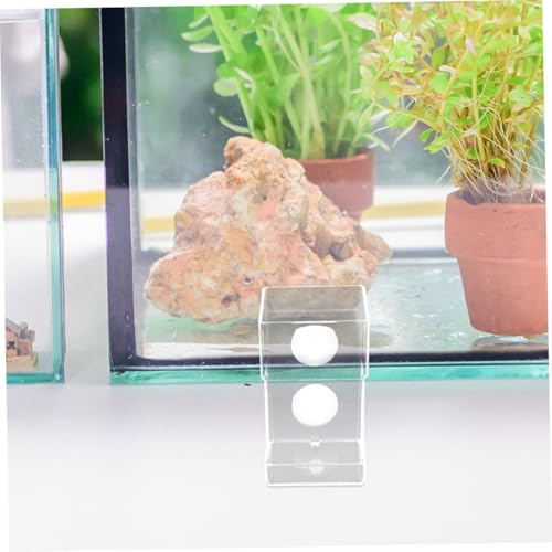 2pcs Aquarium Feeding Station with Suction Cups, Fish Tank Food Holder Ring for Precise Feeding, Anti-Drift Fish Feeder Tubes Suitable for Freshwater and Saltwater Tanks