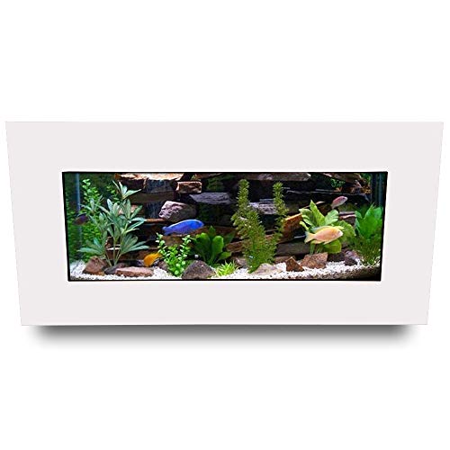 Aussie Aquariums AA-Skyline-MWHITE 2.0 Wall Mounted Aquarium, Matte White - color: Matte White, size: Skyline