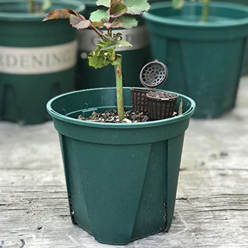 Bonsai Fertilizer Box,Plastic Basket Portable Aquarium with Lid Planting Nutrition Cups Box Succulent Orchid Plant Tool Garden Plastic Plants Mini Containers for Potted Home Balconies