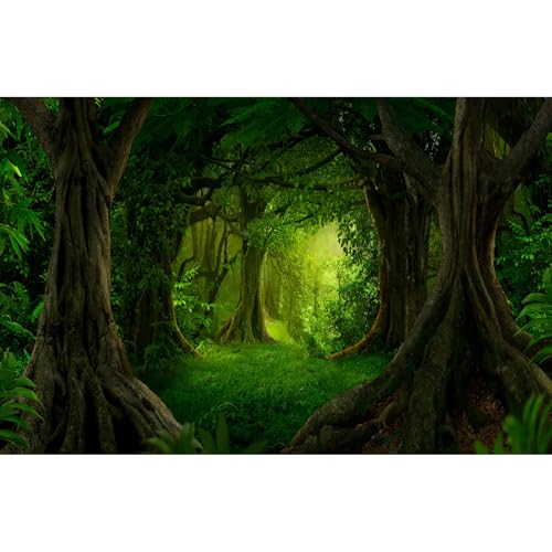 Forest Aquarium Background Lush Green Rainforest Natural Landscape Fish Tank Background Tropical Jungle Forest with Sunbeams Old Trees Reptile Tank Enclosure Backgrounds Wallpaper 24x12in - color: Dark Green, size: 24(W)x12(H)inches/ 60(W)*30cm(H)