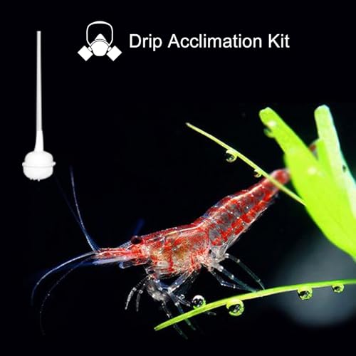 Bubble Magus Drip Acclimation Kit for Saltwater and Freshwater Aquariums, Fish Tanks, Ensure Smooth Transition for Coral, Shrimp, Marine Fish, Navigation System Live Koi Fish, Plant Decor Security