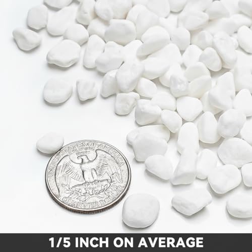 Onlyfire 10lb White Pebbles,1/5" Natural Decorative River Rocks Aquarium Gravel for Indoor Plants, Vases, Succulents and Outdoor Garden Landscaping - color: White, size: 10 Pounds