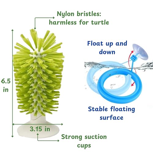Turtle Brush with Suction Cup & Feeding Ring, 2-Piece Cleaning & Feeding Set (Green) - color: Green