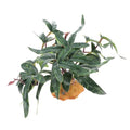 Ciieeo Simulation Plant Decor for Reptile Habitat, Dark Green Reptile Pet Case Ornament, Decorative Landscape Accessory for Aquarium and Terrarium Use